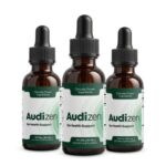 Audizen Review