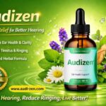 Audizen