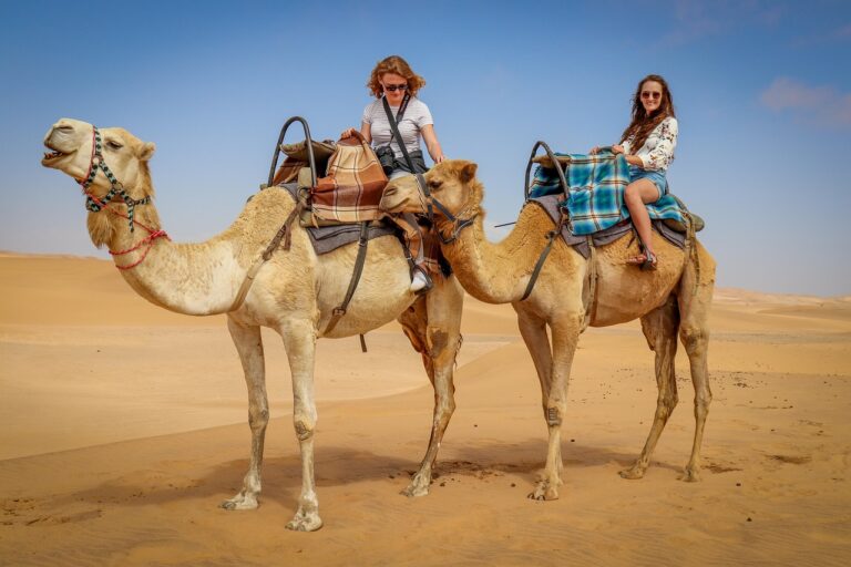 best desert safari dubai