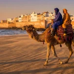 Top Camel Ride Adventures in Essaouira You Can’t Miss