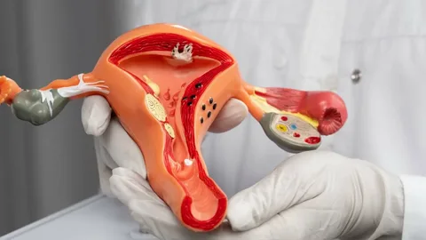 Vaginal Tightening Surgery in Islamabad: Improve Intimate Comfort and Confidence