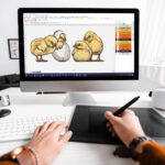 Convert Logos for Pfaff Embroidery Machines