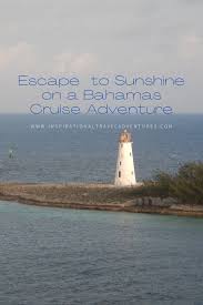 download - 2026-02-18T115504.051