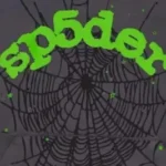 Sp5der-Wait-Web-Hoodie1.jpg-1.webp.bv_resized_mobile.webp.bv_-400x267