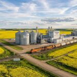canola oil producers in canada