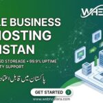 Reliable Business Web Hosting in Pakistan