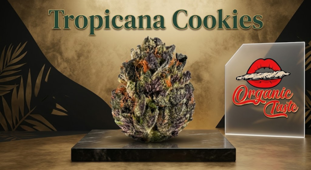 Tropicana Cookies