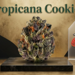 Tropicana Cookies