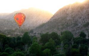 SkyWaltz Balloon Safari