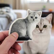 Custom Fuzzy Stickers
