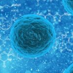 Developmental-and-Reproductive-Toxicology-DART-1