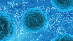 Developmental-and-Reproductive-Toxicology-DART-1