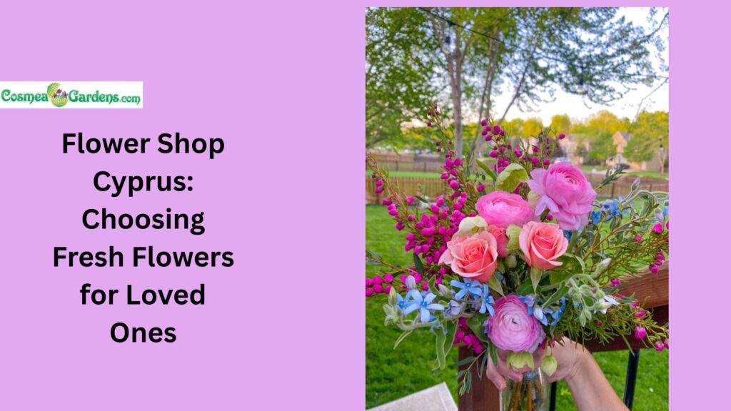 flower shop cyprus