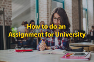 How to Write a University Assignment