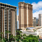Tall brown skyscrapers and green palms before them