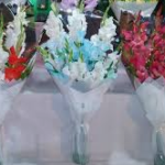 Islamabad Flower Shop