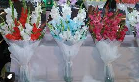 Islamabad Flower Shop