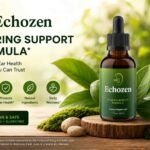 Echozen