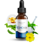 EchoXen