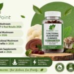 Functional Mushroom Gummies