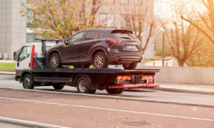 best auto transport companies (4)