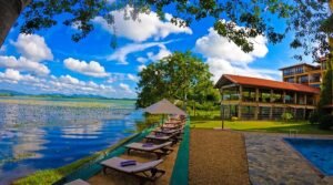 Thaulle Ayurveda Resort