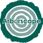 Tree Surgeon Carlisle