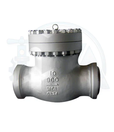Check Valve Manufacturer in Mumbai
