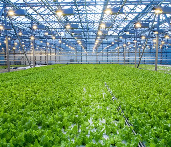 custom commercial greenhouse manufacturer 1