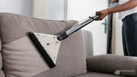 sofa cleaning