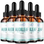AudiLeaf