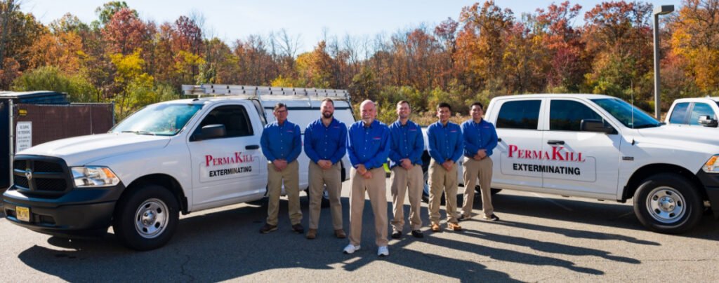 meet_the_team_top_img
