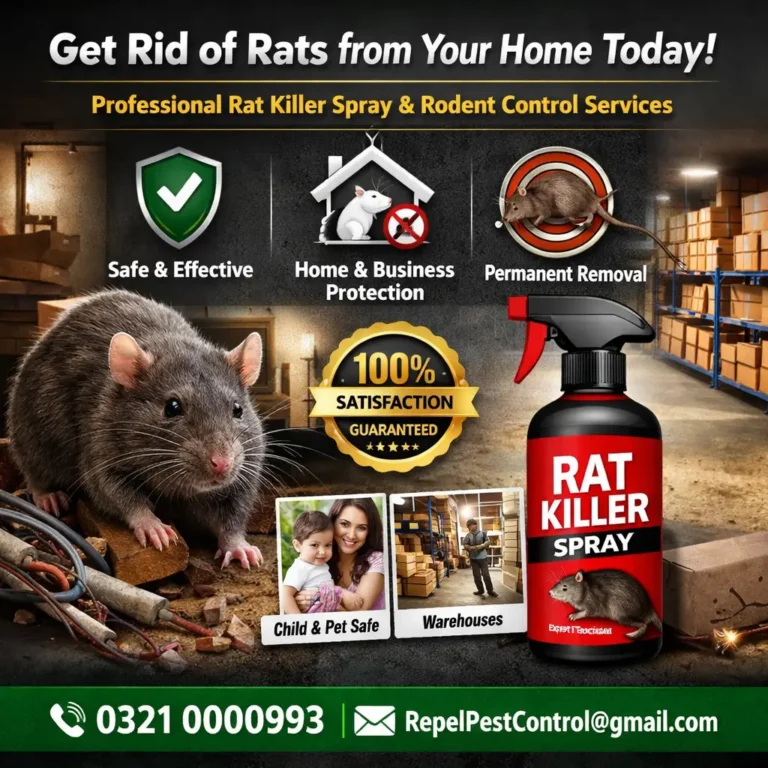 rodent-control-companies-near-me_