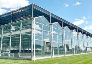 venlo greenhouse manufacturer